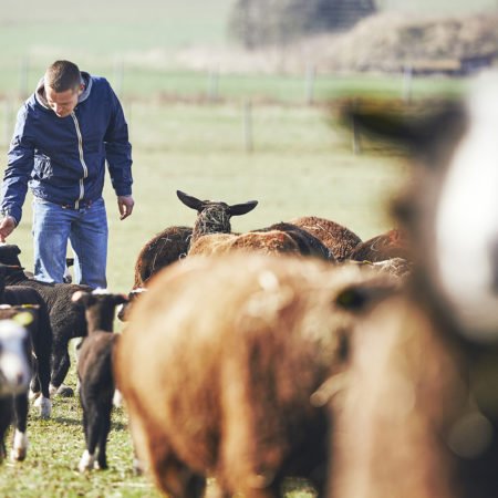 INB9000 - Reserva - Sostenibilidad y desarrollo rural