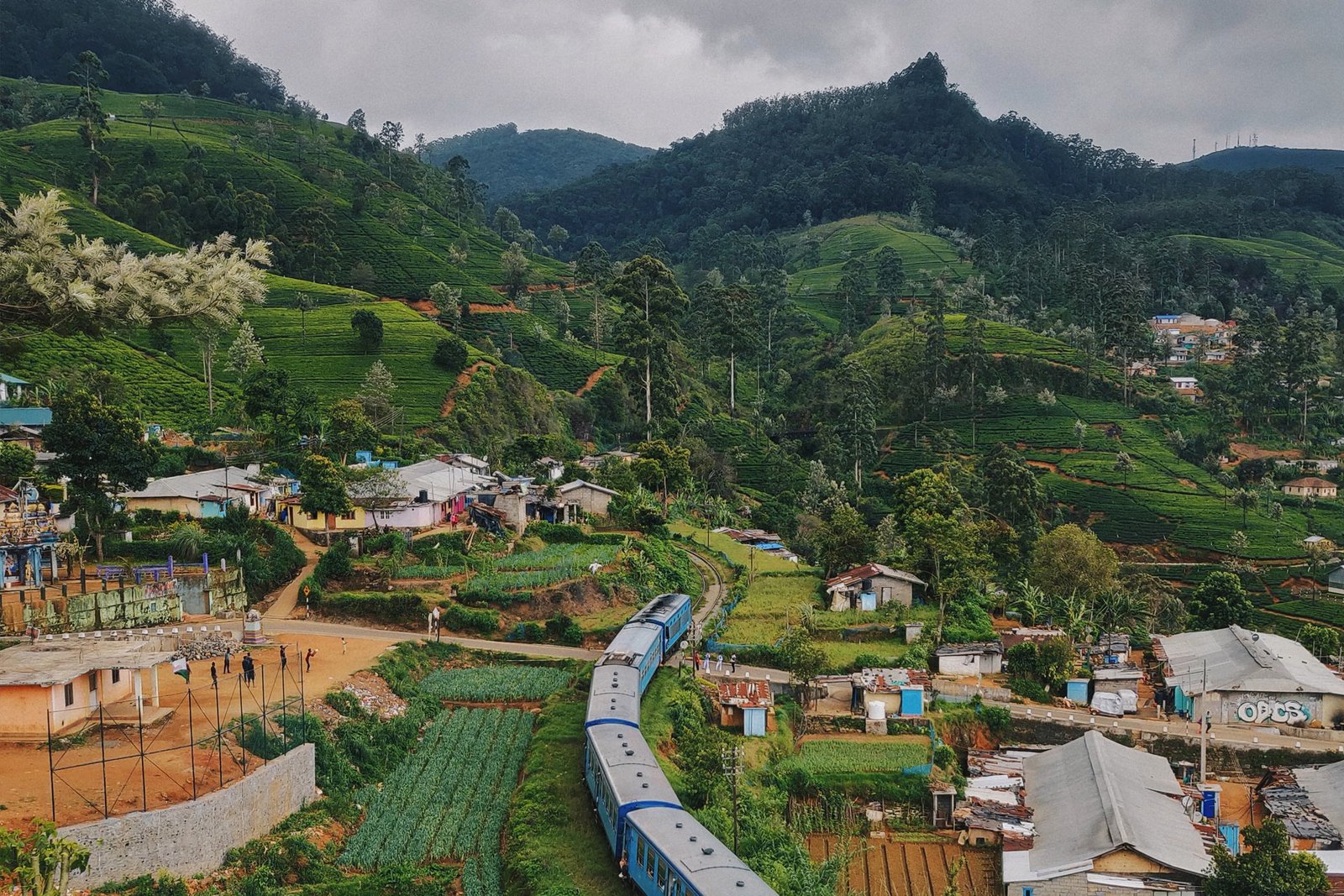 sri-lanka-voluntariado-internacional