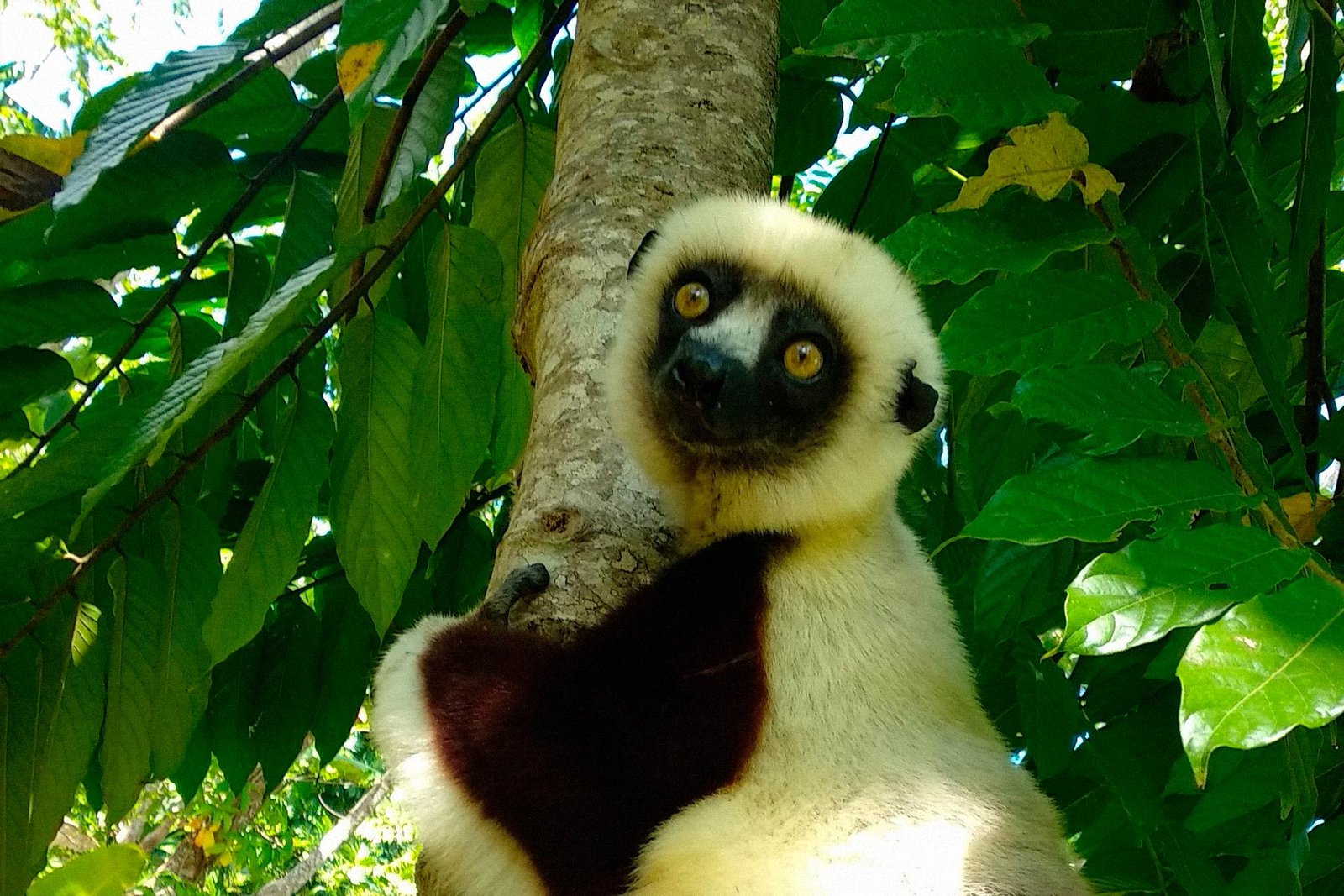 Voluntariado individual en Madagascar para mayores de 18 años