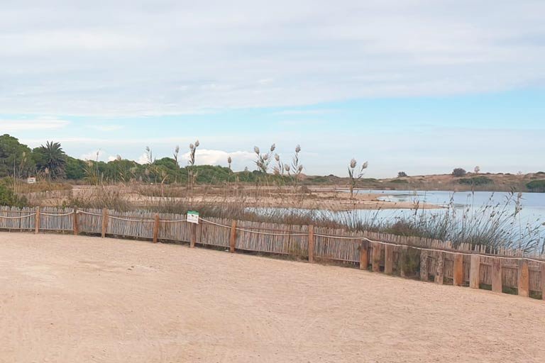 Voluntariado en España sobre conservación medioambiental