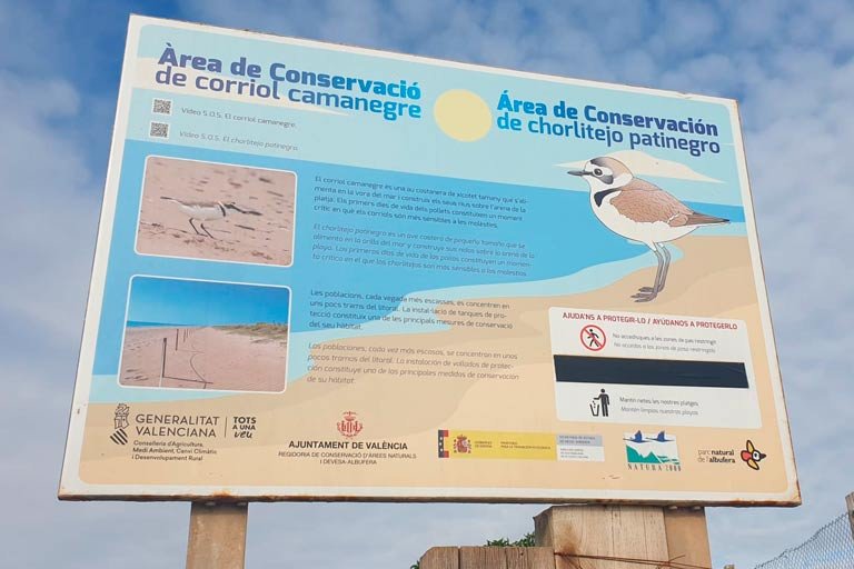 Voluntariado en España sobre conservación medioambiental